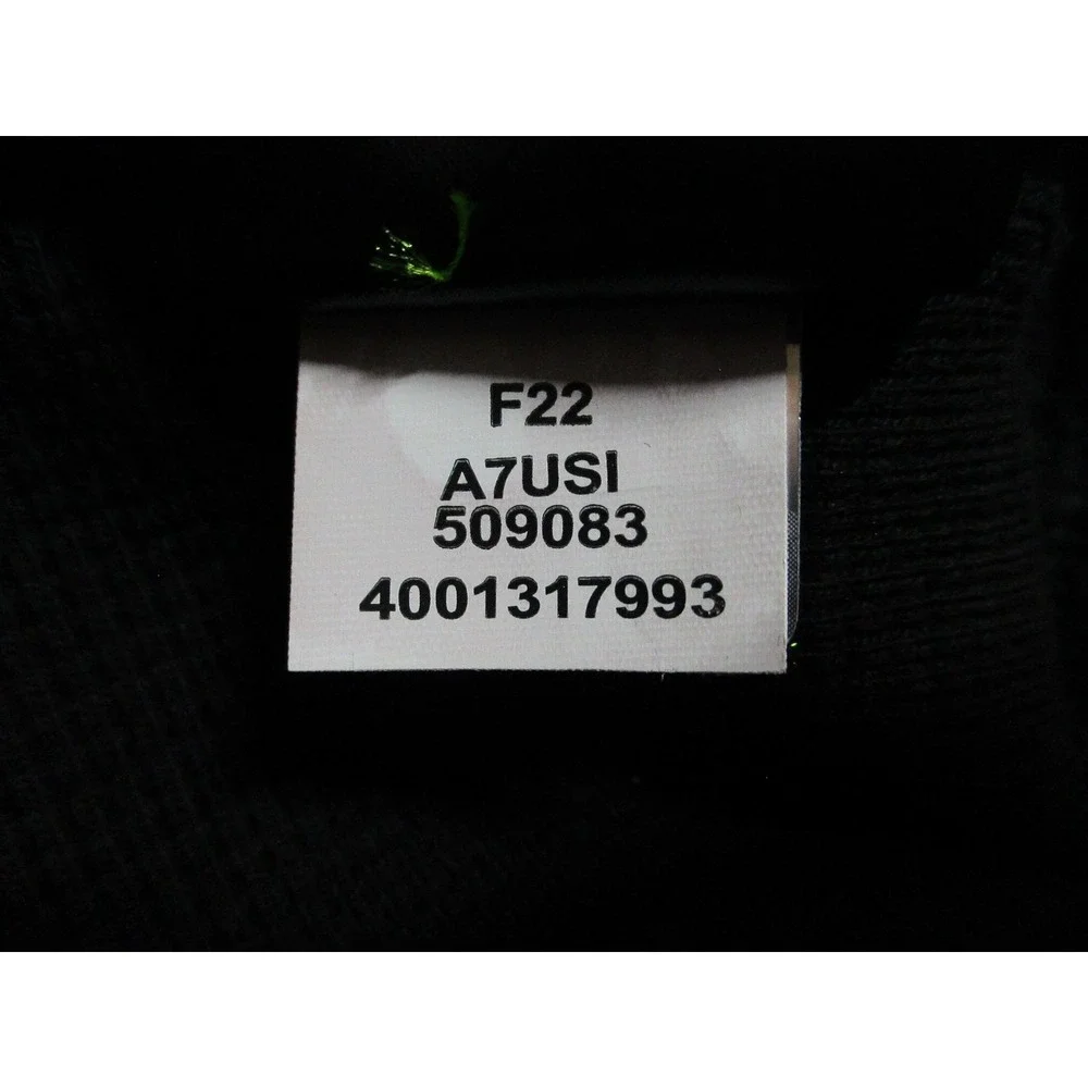 The North Face brand north